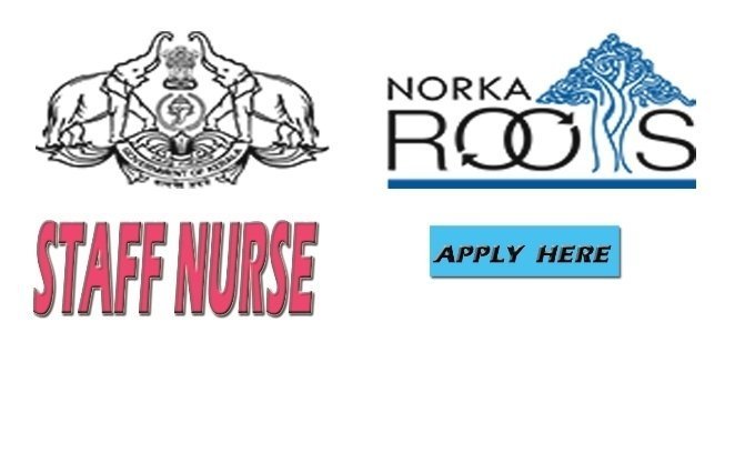 Norkaroots Recruitment 2020